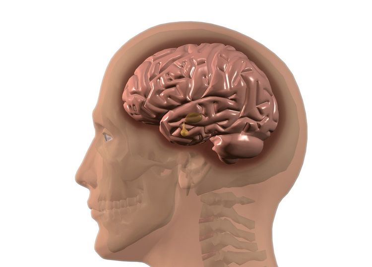 地球上曾有过巨人族？他们的存在自相矛盾，1.1米才是真实身高