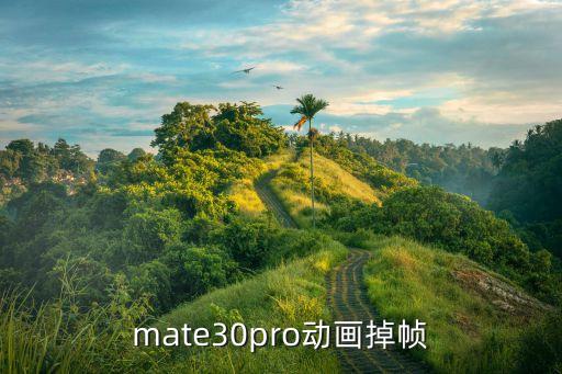 mate30pro动画掉帧