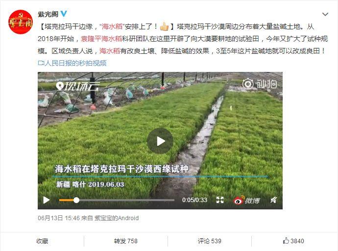 王国霸主安卓破解版_王国霸主无限钻石_王国霸主 修改