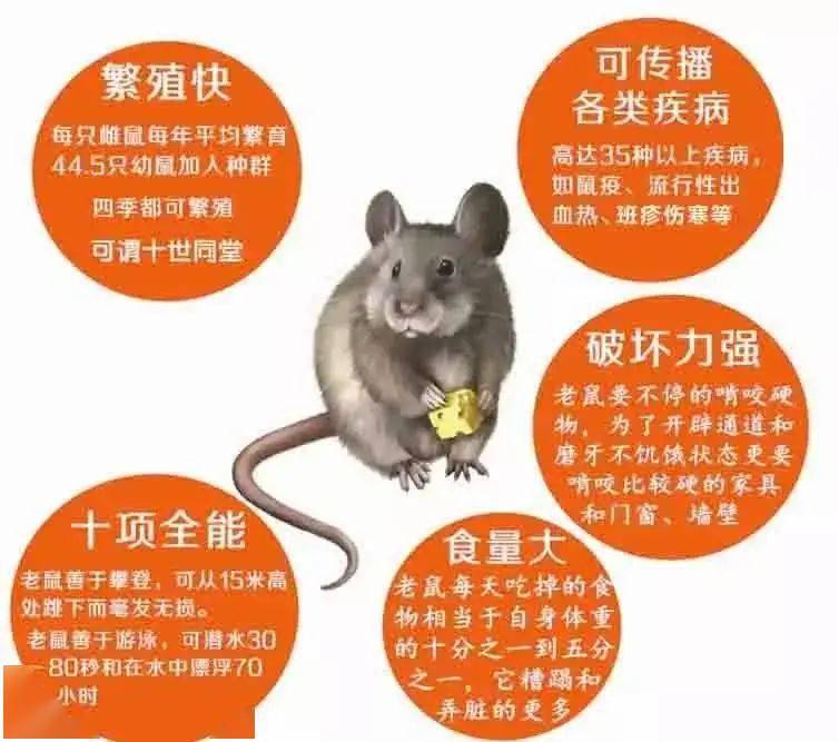 发动掉东西小机舱会漏油吗_发动机舱掉小东西_发动掉东西小机舱会坏吗