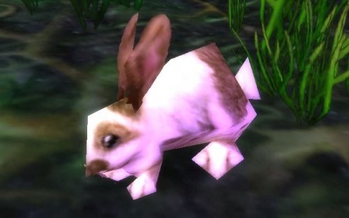 魔兽世界宠物系列之春季兔脚获取指南