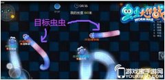 虫虫大作战团战技巧分析 这样搭配分数会更高