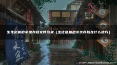 生化危机启示录存档一般在什么位置