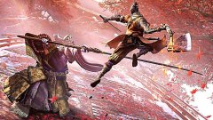 《只狼》中神之飞雪获得方法它有哪些用处